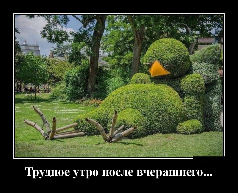 Podborka luchshikh demotivatorov 526 074